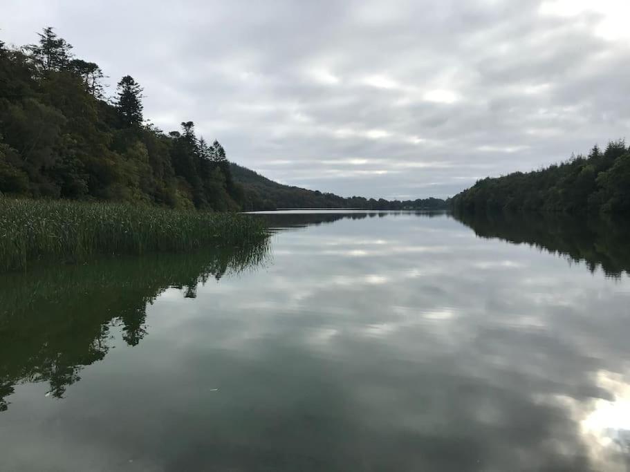 Forest View - Castlewellan, County Down Belfast Exterior foto