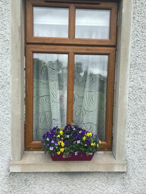 Forest View - Castlewellan, County Down Belfast Exterior foto