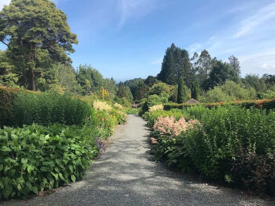 Forest View - Castlewellan, County Down Belfast Exterior foto