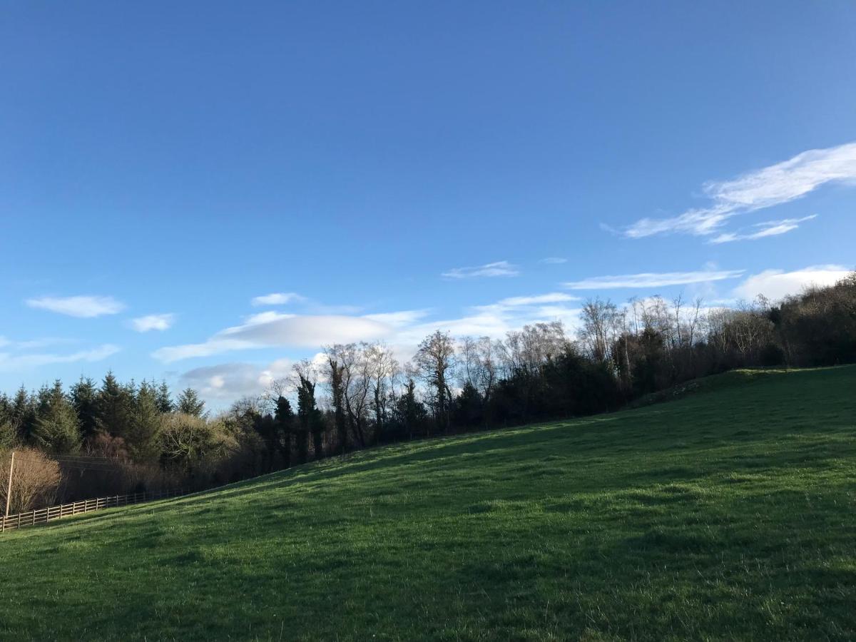Forest View - Castlewellan, County Down Belfast Exterior foto